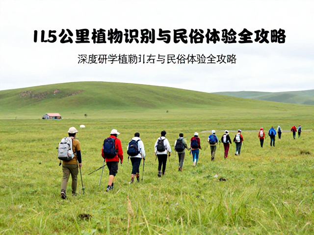 安全准则与无痕山林:徒步者的责任与修养