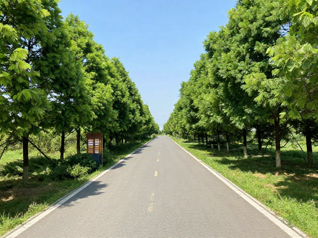 省内经典绿道线路实景解析