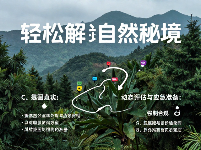 风险管控核心:动态评估与应急准备