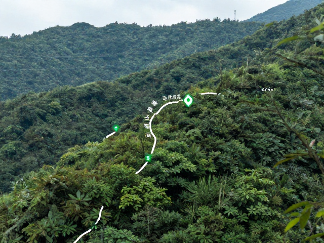 无痕山林:生态保护的实践路径