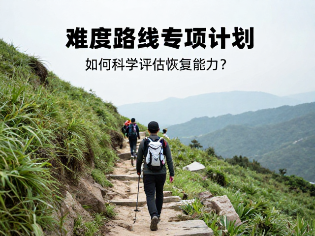 环境适应与外部干扰控制