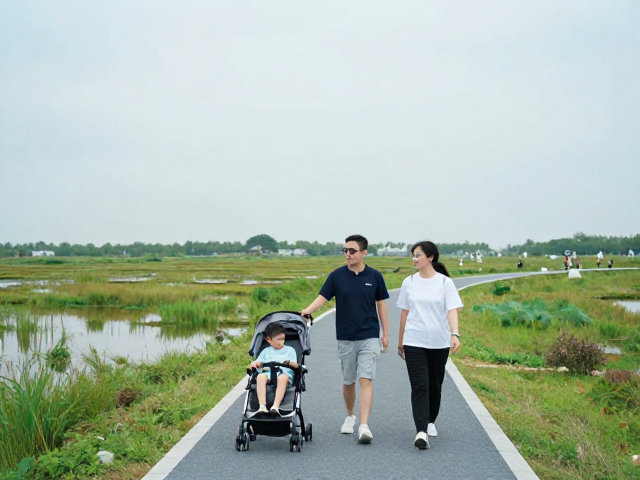 湿地生态下的生命教育:专业设施支撑的自然研学