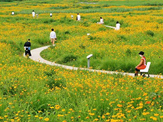 避开人流高峰，解锁城市周边的隐形草甸