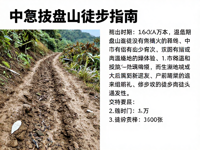 中海拔盘山徒步的路线特征与环境挑战