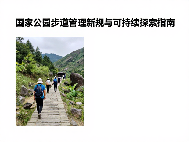 徒步名家助力公益:从个人影响力到公共责任