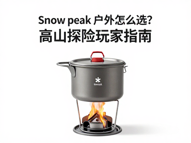 热效率与燃料系统的协同