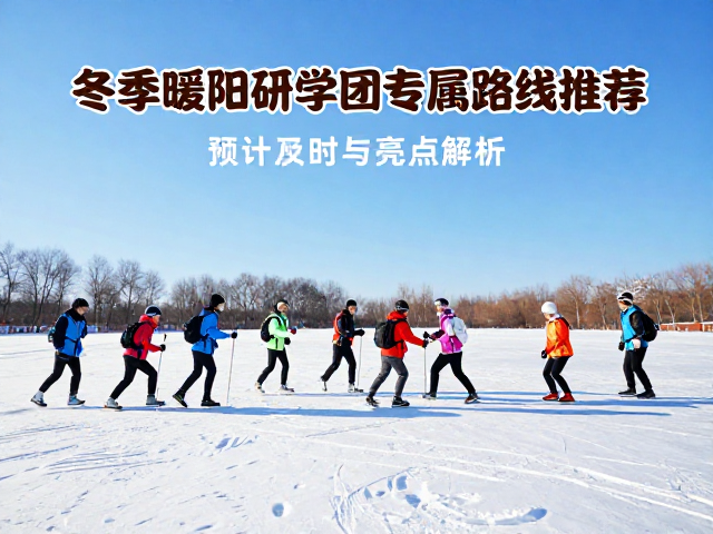 冬季暖阳研学团建专属路线推荐：时间与场景匹配