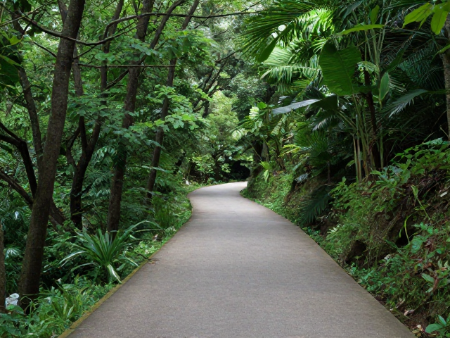 平缓路径设计，践行低强度康养理念