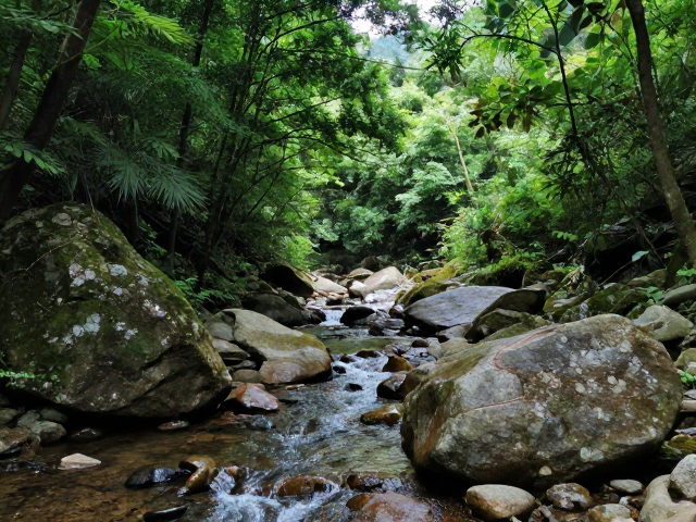 慢节奏旅居，重塑生活的身心秩序