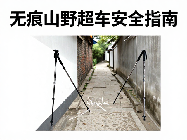 窄径交会与礼让场景