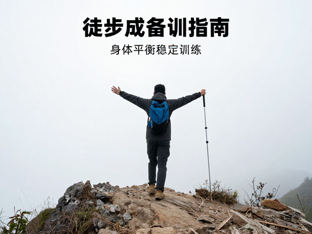 迷路自救策略中的环境识别与决策机制