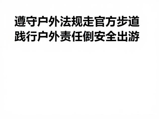 法律法规约束与安全风险评估