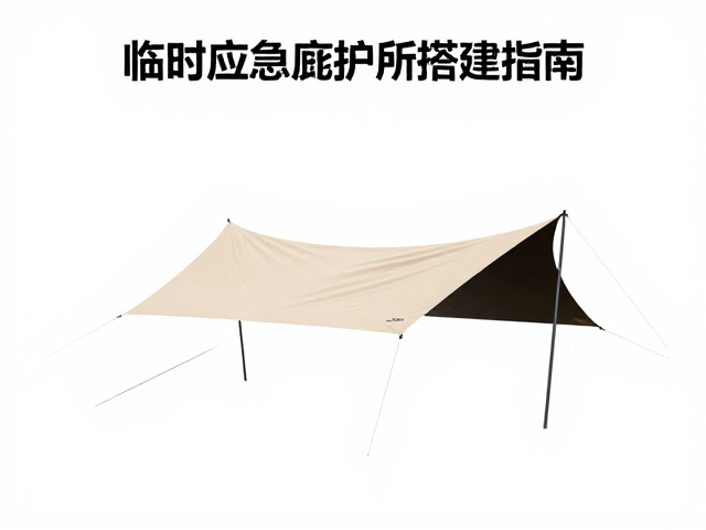 风力影响与锚固系统的强化