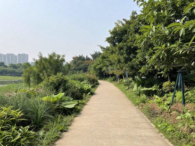 循序渐进的入门路径：从城市公园到郊野步道