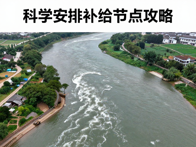 动态调控机制与生态适应性策略