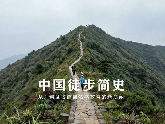 科技赋能与未来趋势