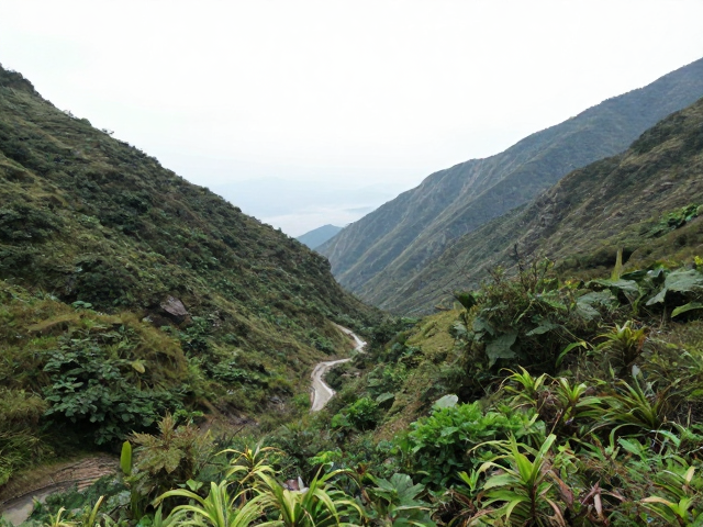 生态保护与无痕山林