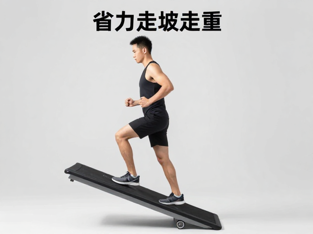 身体平衡稳定性:核心激活与单侧支撑
