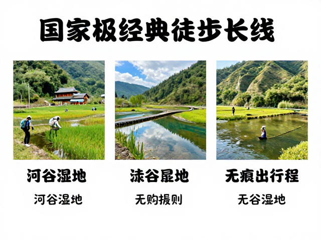 生态保护：无痕山林的实践准则