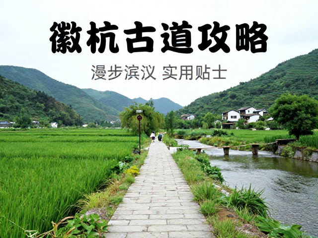 装备建议与实用贴士