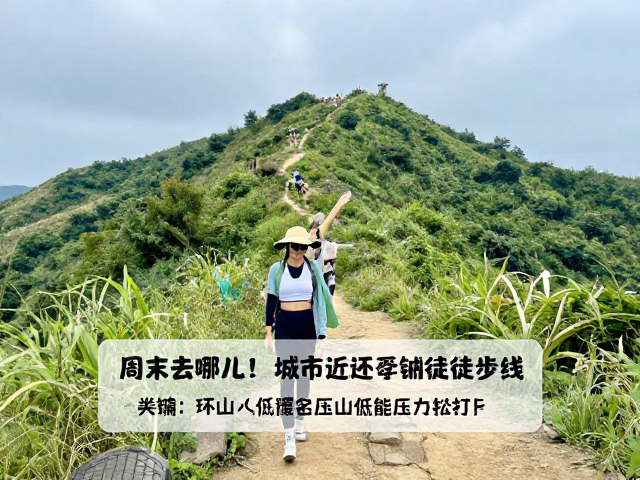 行前准备与实用出行指南