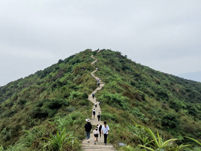 路线规划:兼顾美景与体力的经典环线