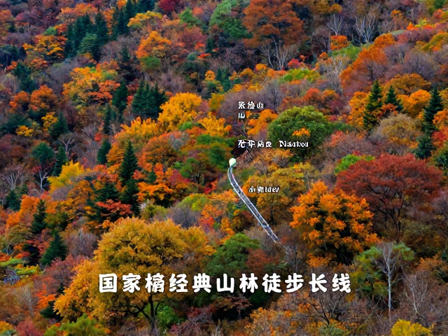 践行无痕山林的环保准则