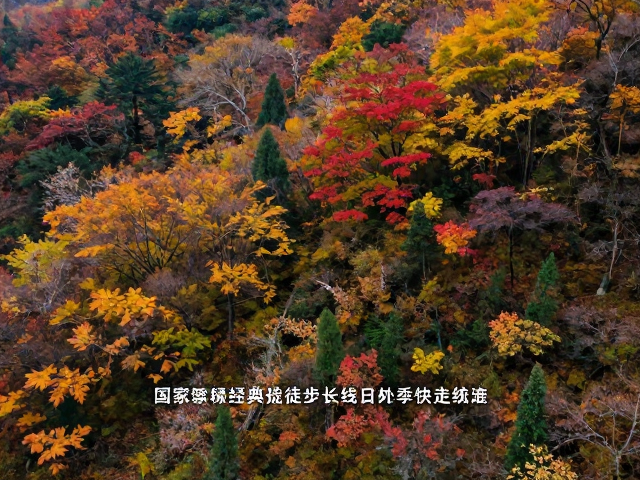 深度体验与文化感知
