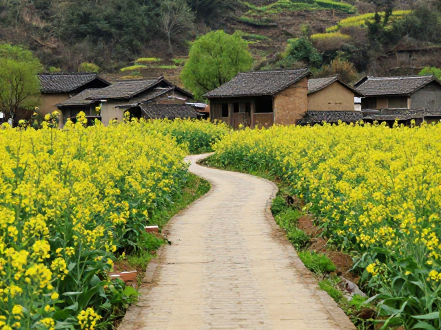 徒步路线的关键节点与休憩点