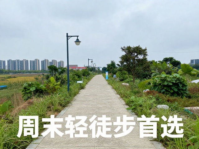实用信息与行前准备