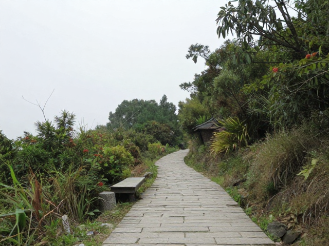 古道寻踪:穿越千年的时空对话