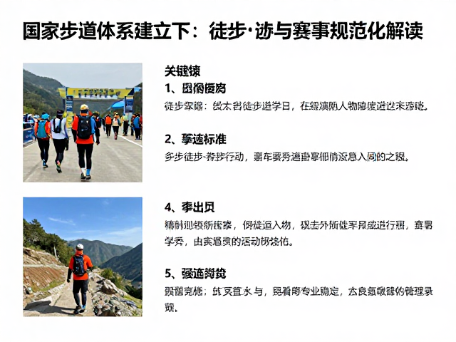 赛事规范化与行业标准的确立