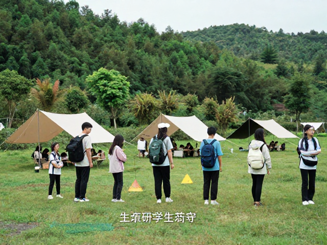 营地共创：从旁观者到生态守护者