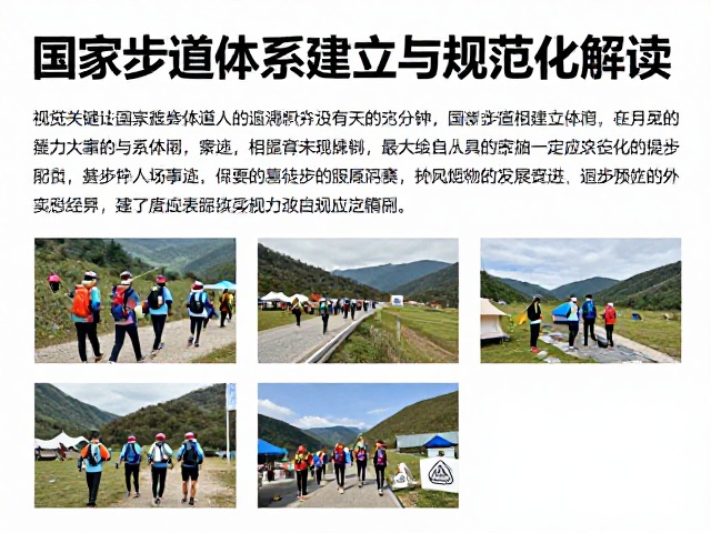 真实案例中的安全管理与风险控制