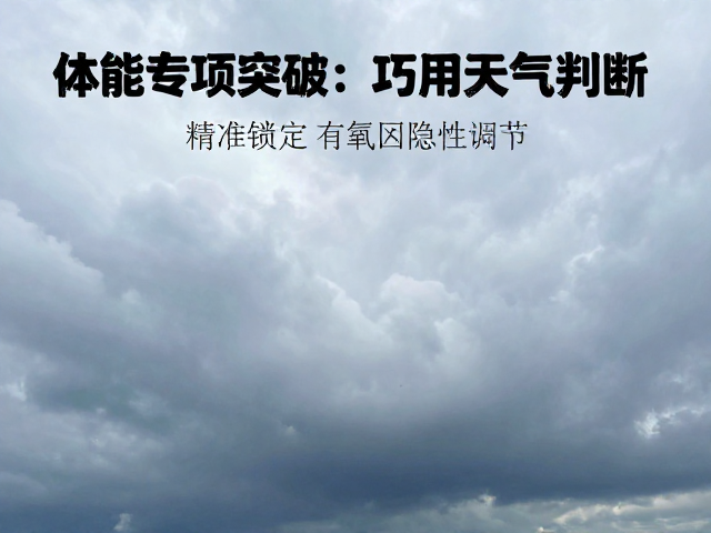 巧用天气判断:环境因子对运动负荷的隐性调节