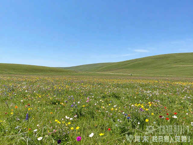 5-8公里半日线的距离逻辑与体力匹配