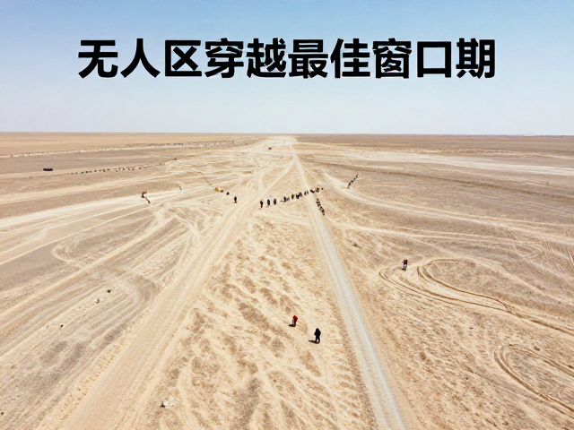 安全指南与应急处置