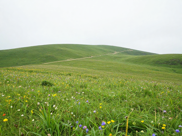 安全规范与无痕山林原则