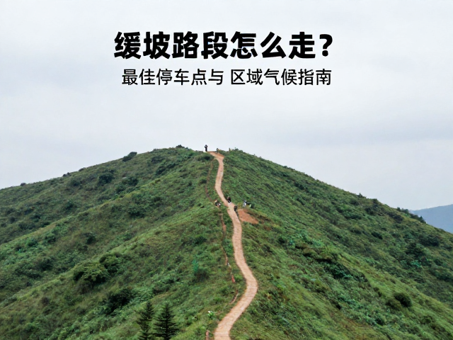 最佳停车点选择与周边设施配套