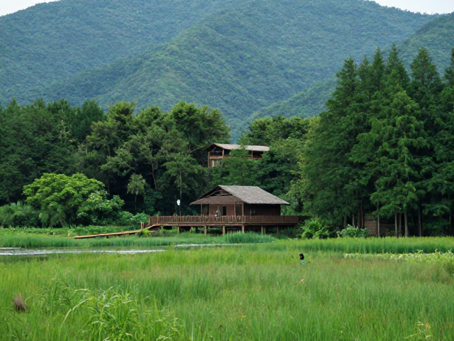 自然秘境:湿地、山林与观景台的绝美取景