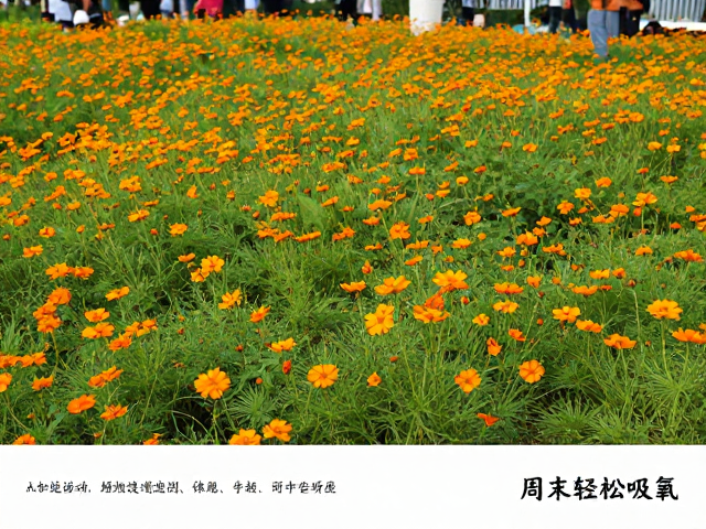 装备建议与实用贴士
