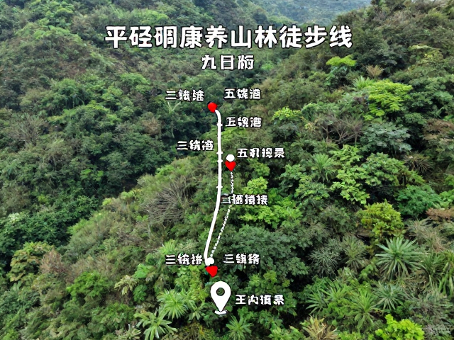 上午出发去平缓康养山林徒步线,停车攻略与路线详解