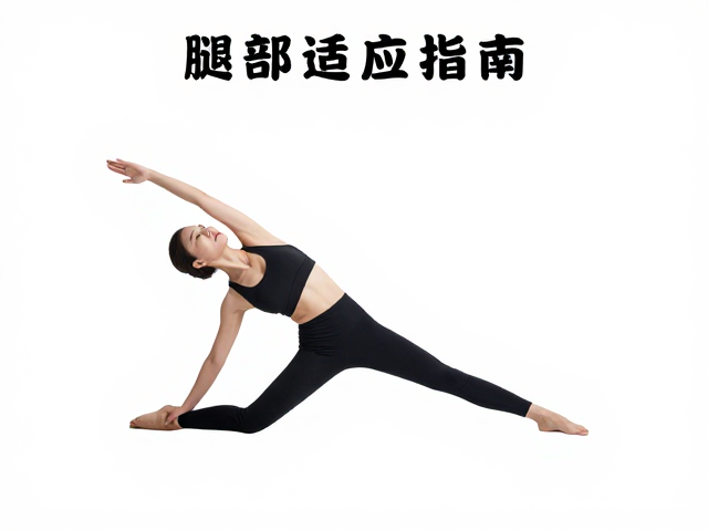 动态拉伸与静态放松的科学介入