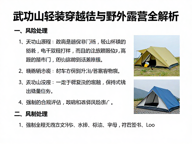 安全风险评估与应急处理