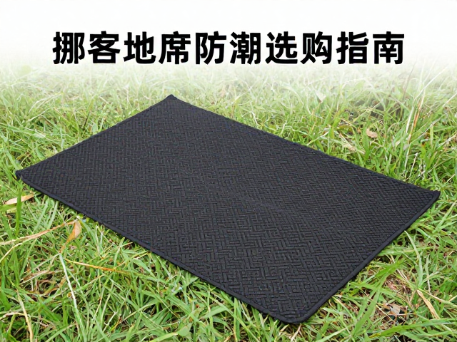 使用场景与搭配建议