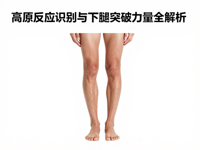 体能专项突破计划全解析