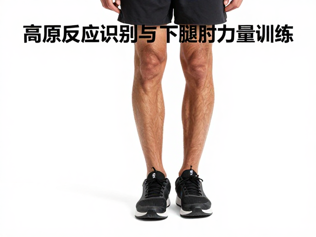高原反应识别与下肢力量训练