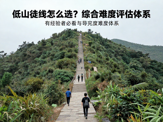 路况复杂度与导航难度评估