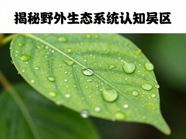 植物叶面凝露的微观吸附机制