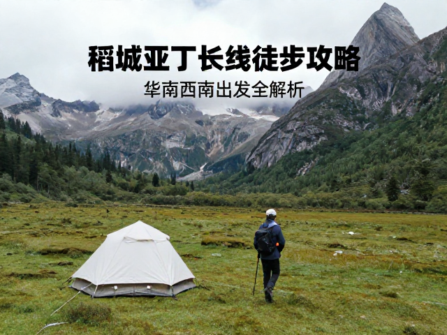 住宿交通与后勤保障